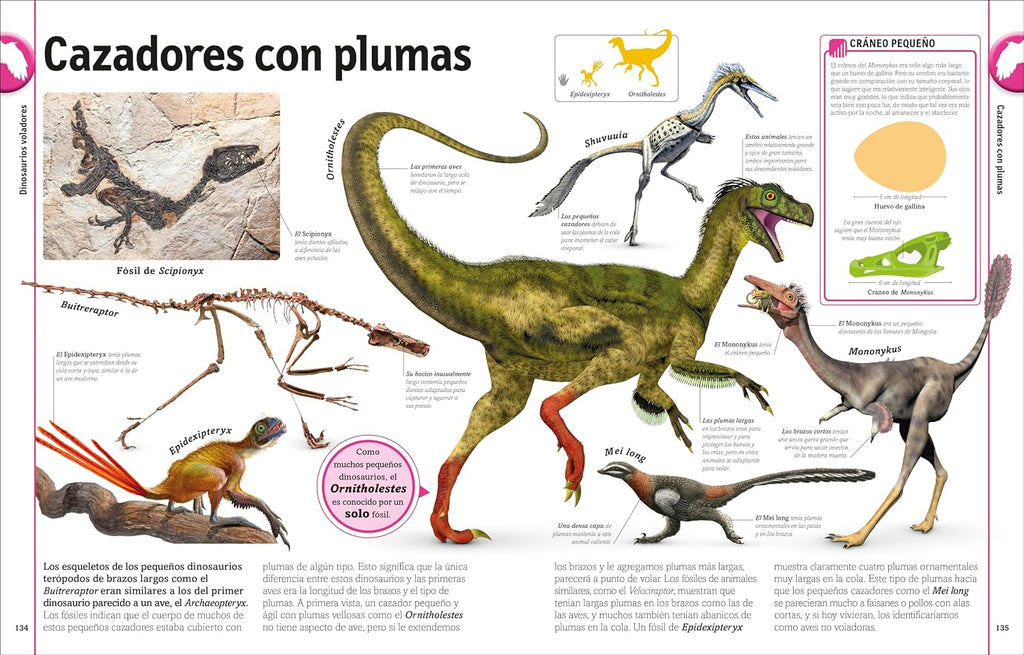 El Libro De Los Dinosaurios (The Dinosaur Book) (DK Our World in Pictures) (Spanish Edition)