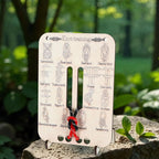 Learn Knot Training Board Knot Tying Kit Learn to Tie Knot Training Board 16 Knotting Methods for Beginners Knot Tying Book Adults Beginner for Outdoor Survival Camping Climbing Practice