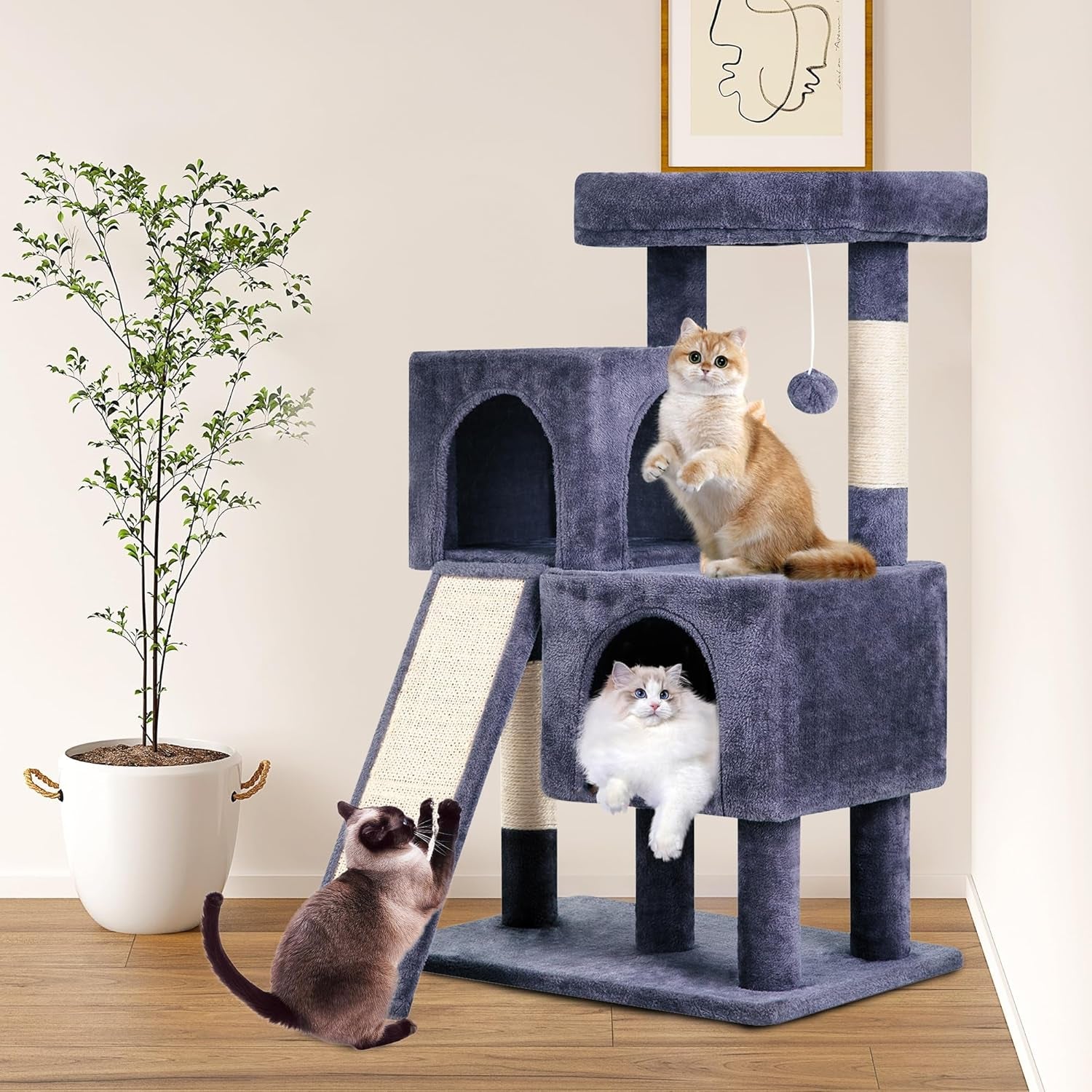 Cat Tree for Indoor Cats 36 Inches Cat Tower Multi-Level Indoor Cat Play Condo House with Scratching Posts, Spacious Perch, Sisal Posts and Dangling Toys (Dark Grey)