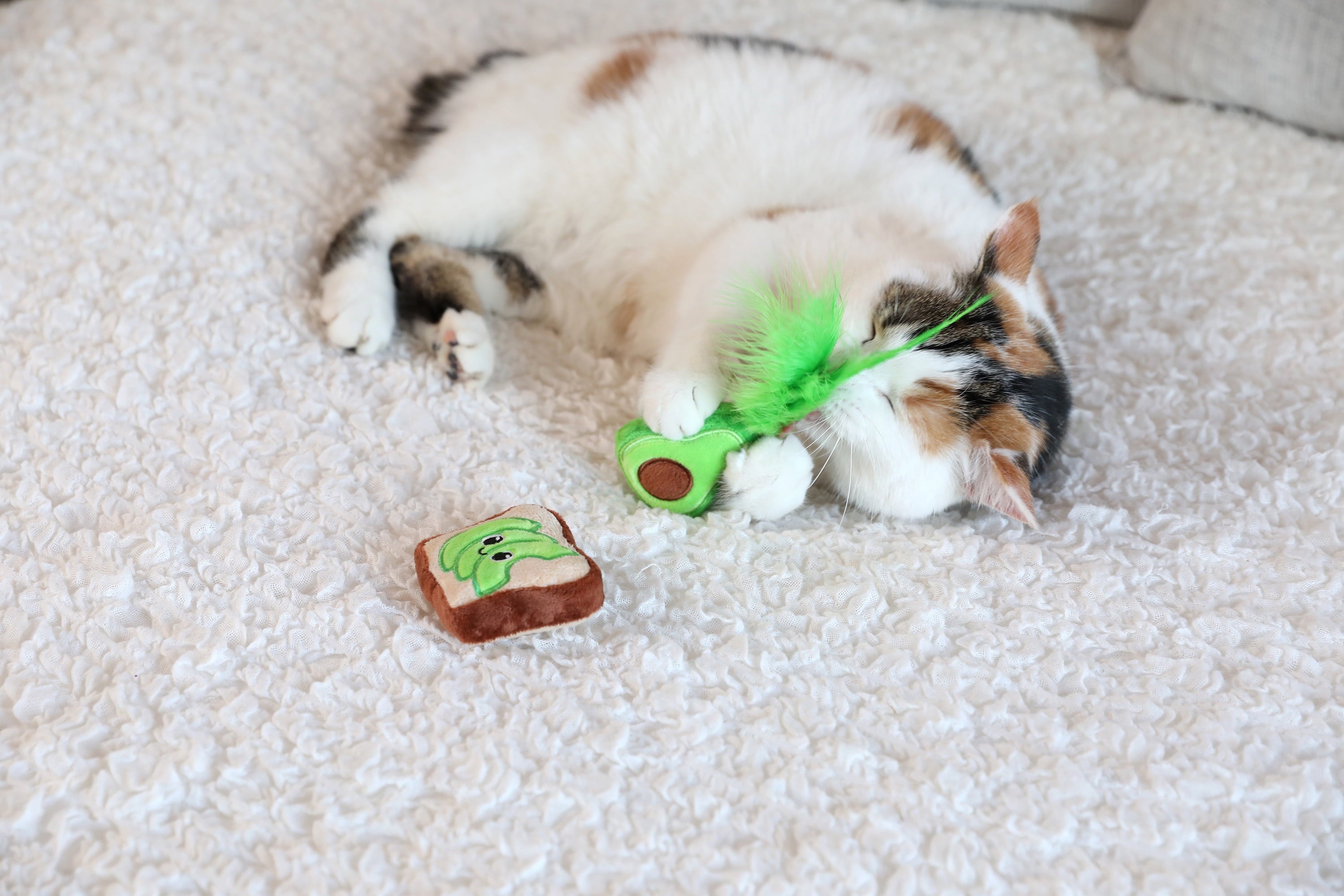 Quirky Kitty Avocado Toast Catnip Interactive Plush Cat Toy, Multicolor, Pack of 2