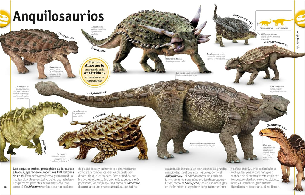 El Libro De Los Dinosaurios (The Dinosaur Book) (DK Our World in Pictures) (Spanish Edition)