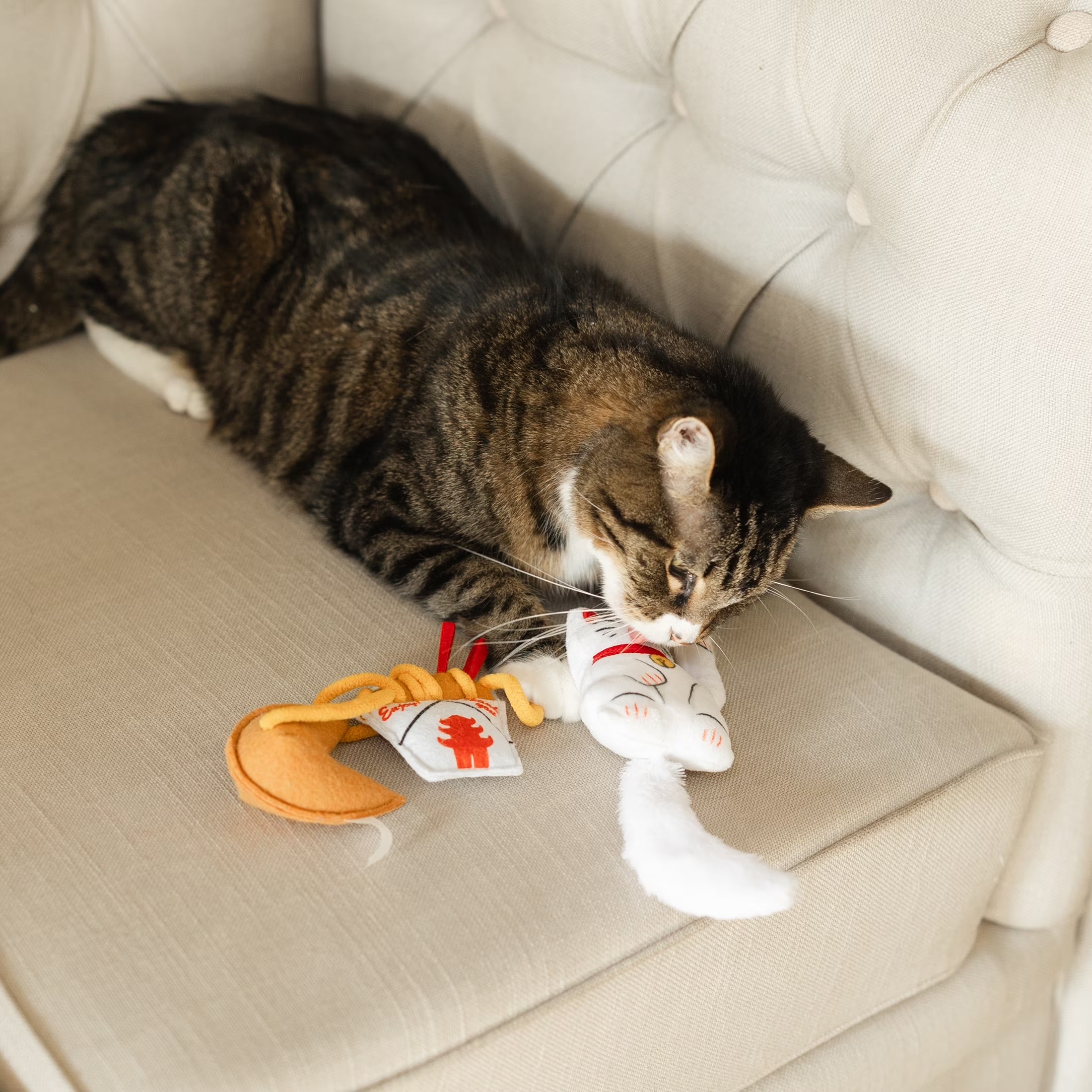 Lucky Cat Toys with Catnip, 3 Pack