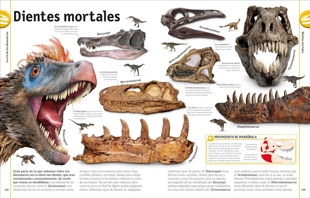 El Libro De Los Dinosaurios (The Dinosaur Book) (DK Our World in Pictures) (Spanish Edition)