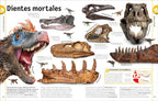 El Libro De Los Dinosaurios (The Dinosaur Book) (DK Our World in Pictures) (Spanish Edition)